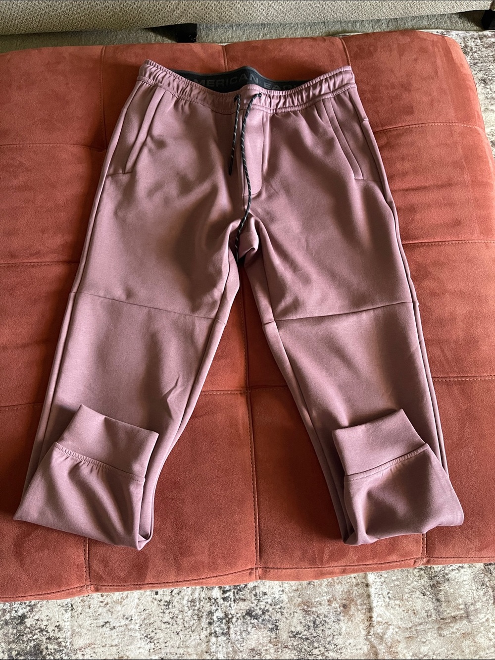 American Eagle Outfitters Men’s Dusty Rose Jogger Pants